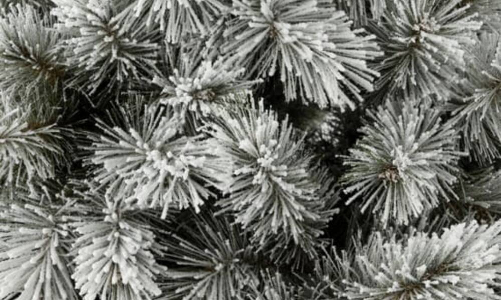 Des belles branches artificielles irrégulièrement enneigées