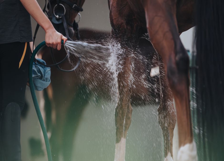 Quel bonheur, une bonne douche après le sport !