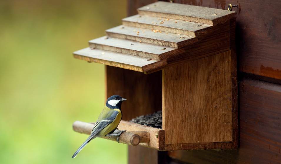 Nettoyer une mangeoire à oiseaux est simple et rapide !