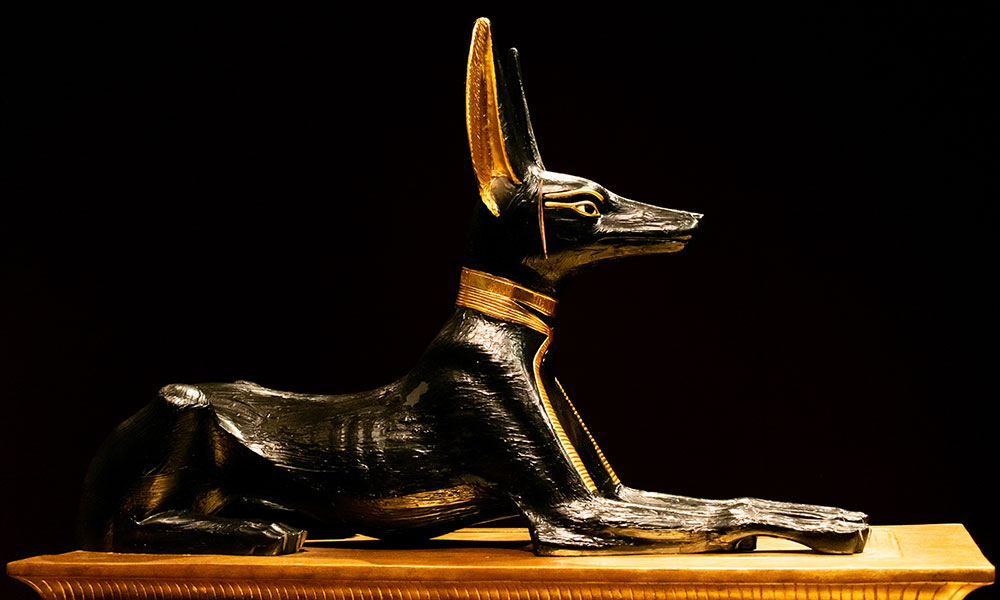 Le dieu Anubis