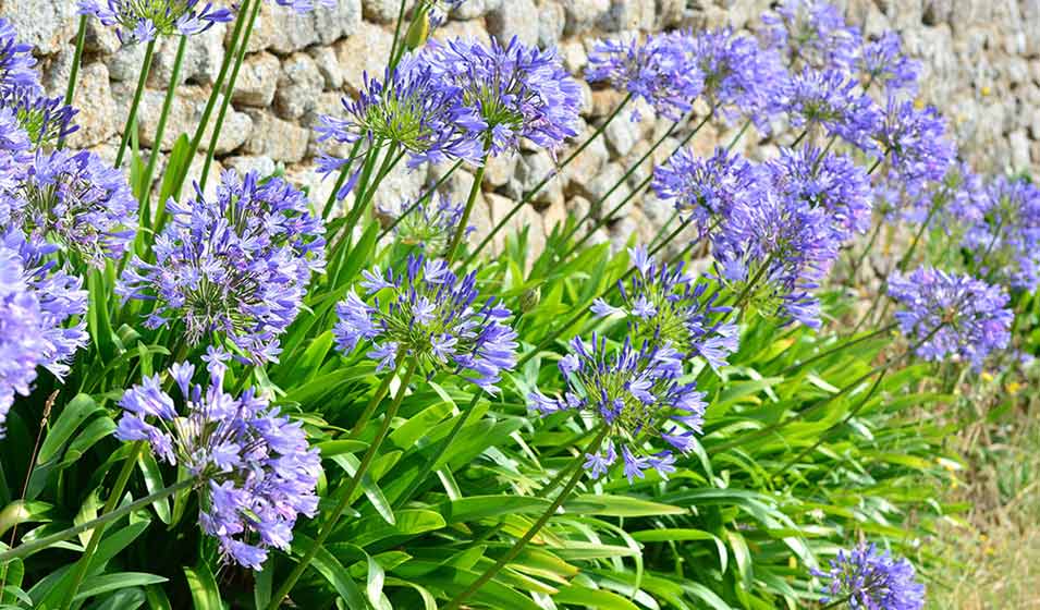 Un peu bleu sur les bords