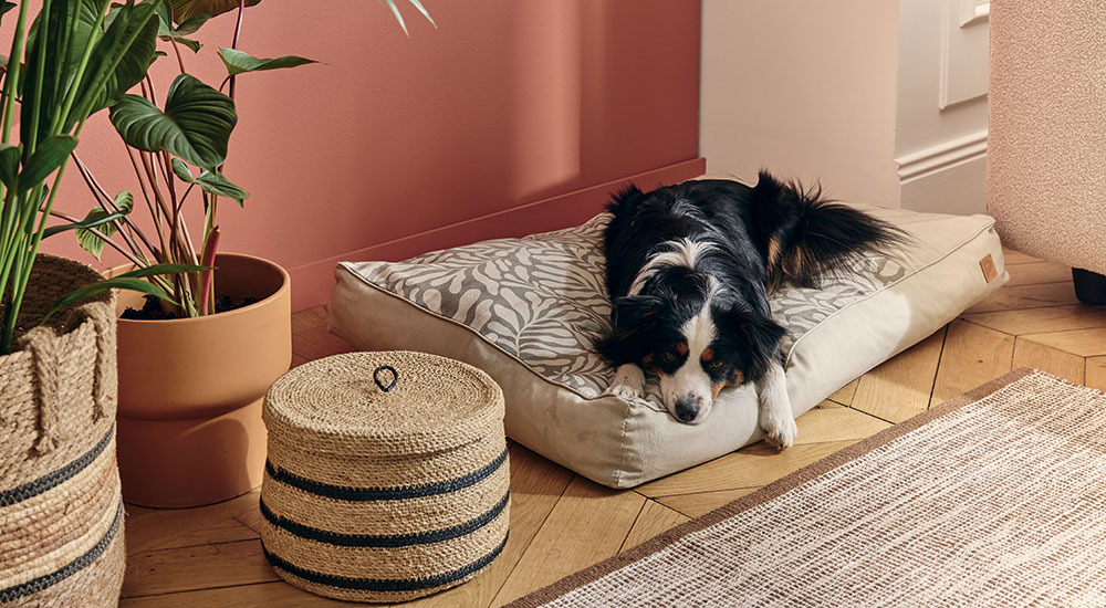 Coussin chien inco. eco s/m - Pure Family