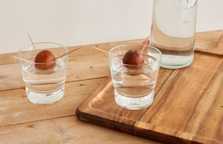 Mise en place sur le verre d’eau