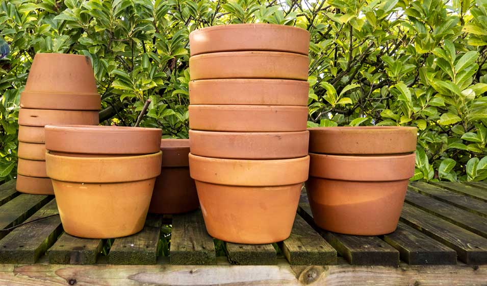 On a du pot