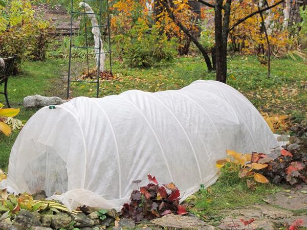 Préparez votre jardin à l'hiver avec ce coffre de rangement extérieur en  promotion - Le Parisien