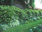 Dans les Jardins de Maizicourt