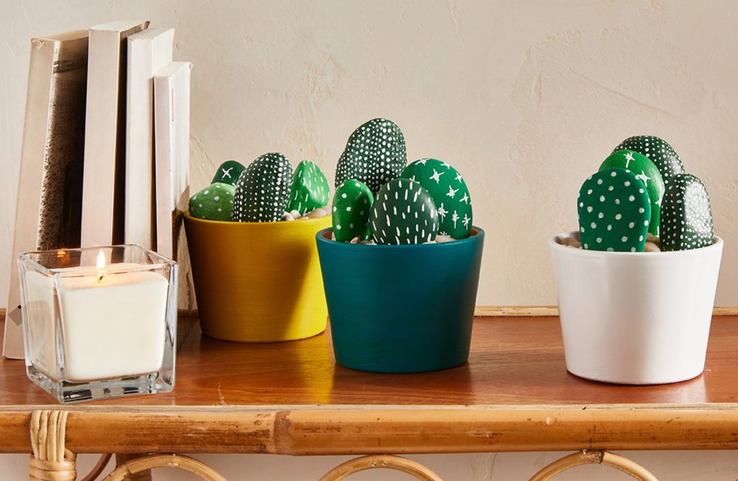 Composer un jardin de cactus avec des galets
