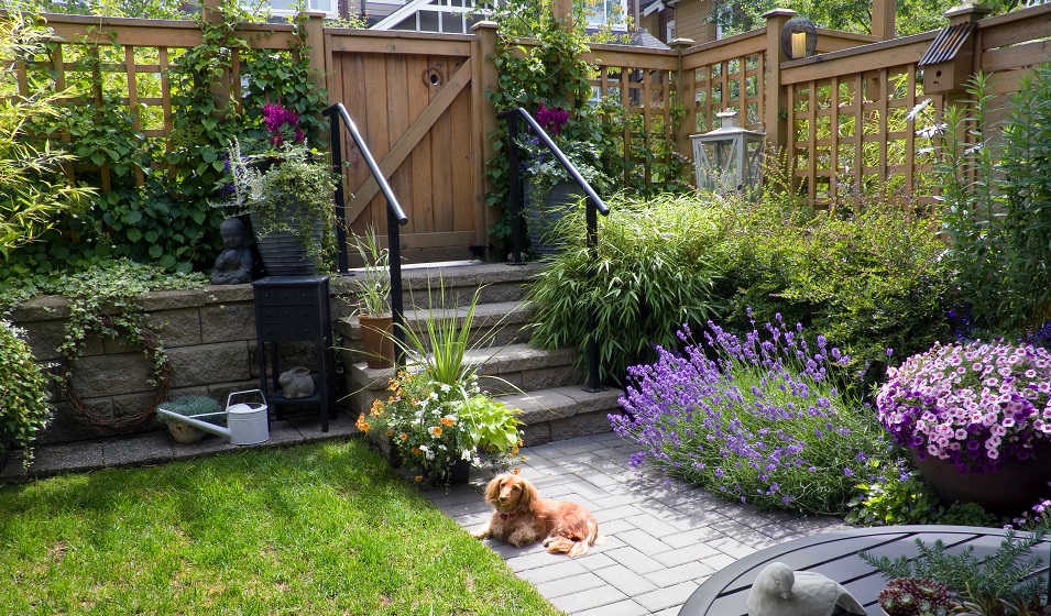 10 meilleures idées sur panneau brise vue  cloture jardin, déco jardin,  amenagement jardin