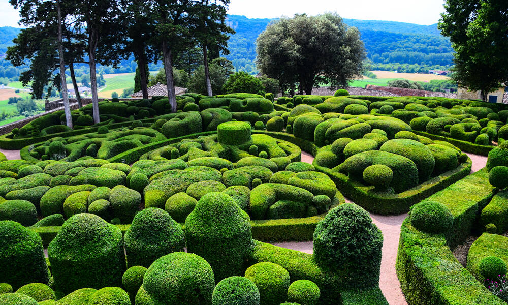 Un beau jardin de buis taillés en topiaires à Marqueyssac, en Dordogne