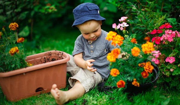Comment avoir de belles fleurs : 4 bonnes astuces - Jardiland
