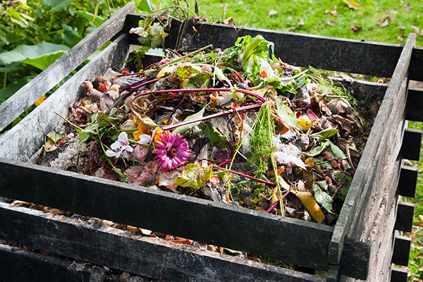 Le compost est un élément important du jardin biologique