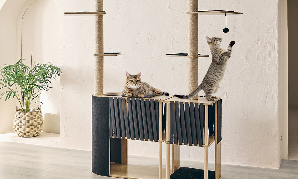 L'indispensable arbre à chat
