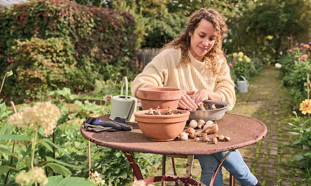 Les bulbes à floraison printanière se plantent en automne