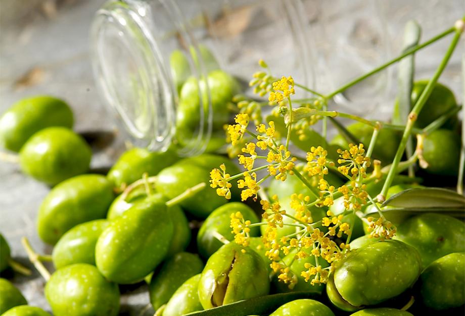Les olives vertes - Gamm vert