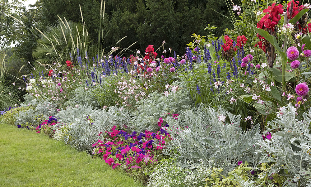 12 recettes pour réussir une belle mixed-border - Gamm vert