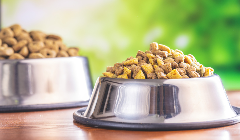 Comment et avec quoi sont fabriquées les croquettes pour chien