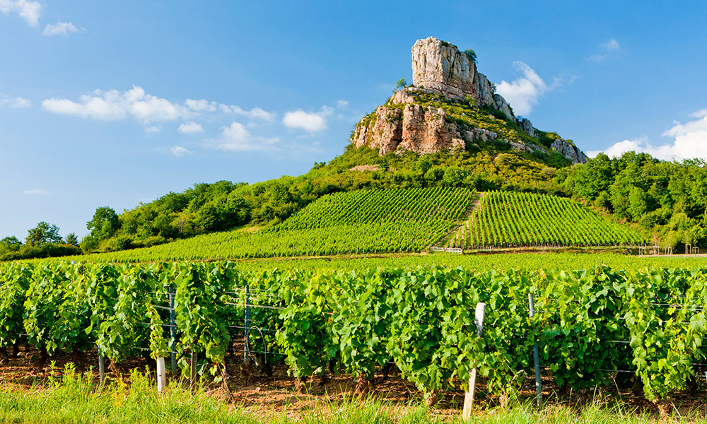 Zoom sur la région Bourgogne-Franche-Comté