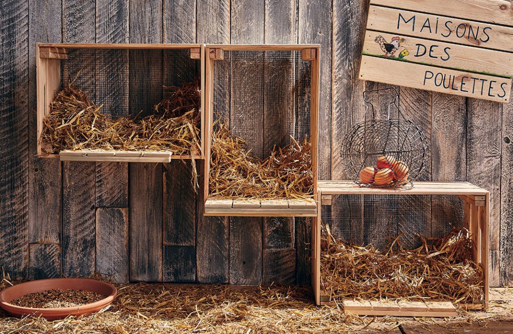 Comment Faire Un Pondoir à Poule Video