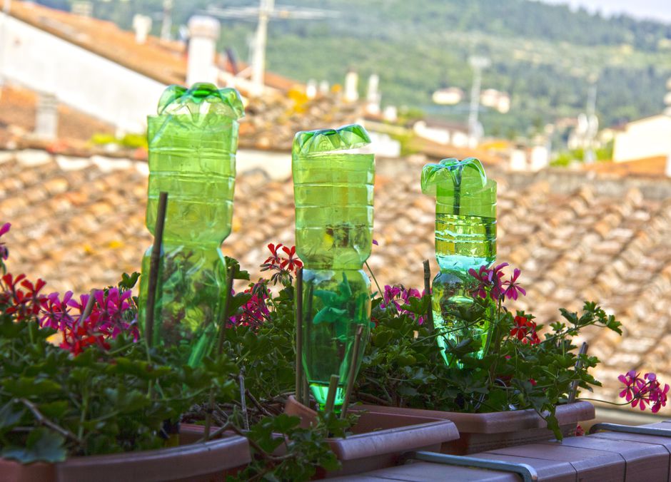 Un arrosage lent pour ces plantes en pot