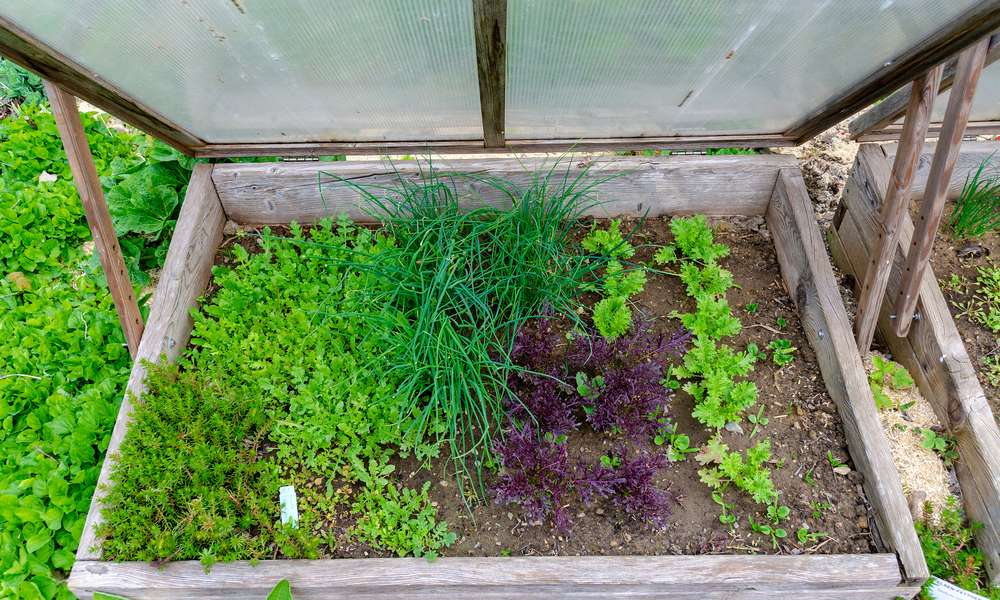 Dès le printemps, le châssis doit rester ouvert en journée 