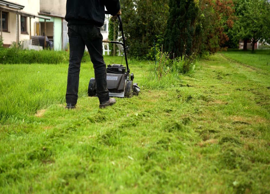 Petite tondeuse à batterie avec mulching : le top de la facilité pour tondre