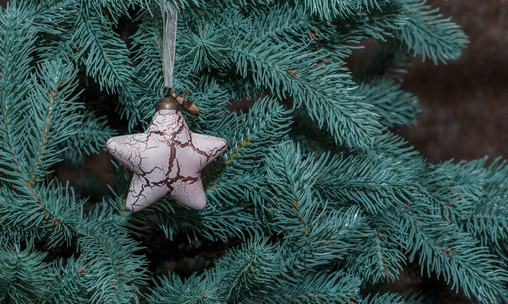 La couleur des aiguilles va varier selon l’espèce de sapin pris pour modèle