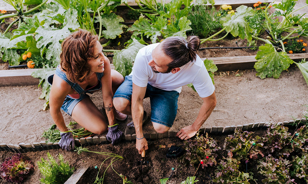 5 bonnes résolutions à prendre pour votre jardin 