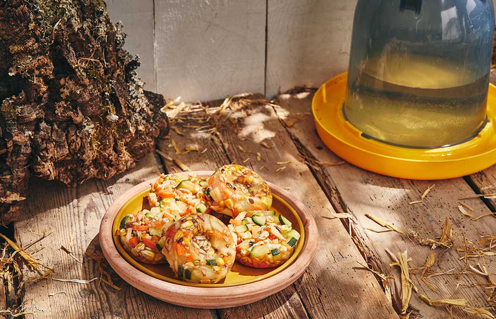 13 friandises surgelées pour frapper la chaleur estivale