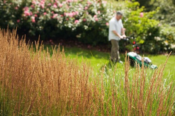 Comment réussir l'arrosage de sa pelouse avec un système automatique ? -  Gamm vert