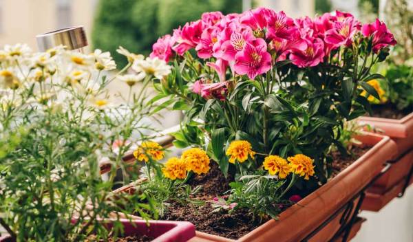 Jardinière, pot de fleurs pour terrasse ou balcon très déco