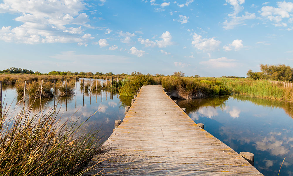 La Camargue