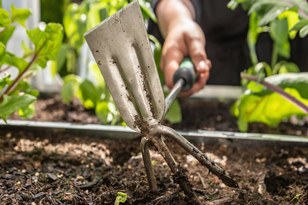 L’incontournable des jardiniers malins 