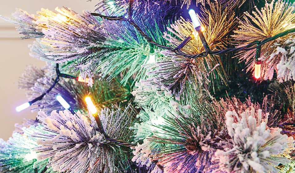 Mon beau sapin brille de mille LEDs !