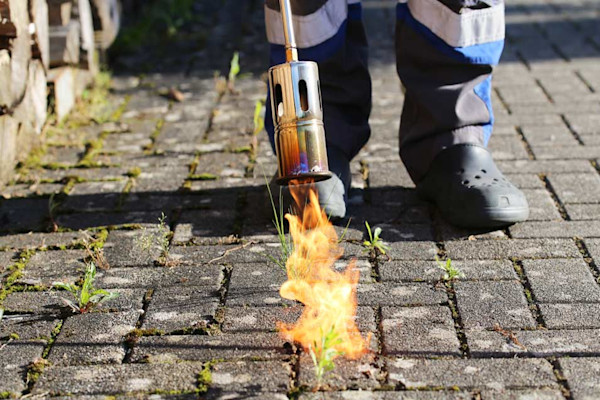 Avis aux jardiniers technophiles 