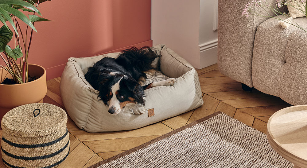 Comment choisir un lit adapté à mon chien - Corbeille chien inco. eco s/m - Pure Family