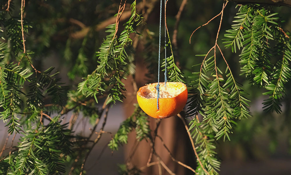 DIY vitaminé