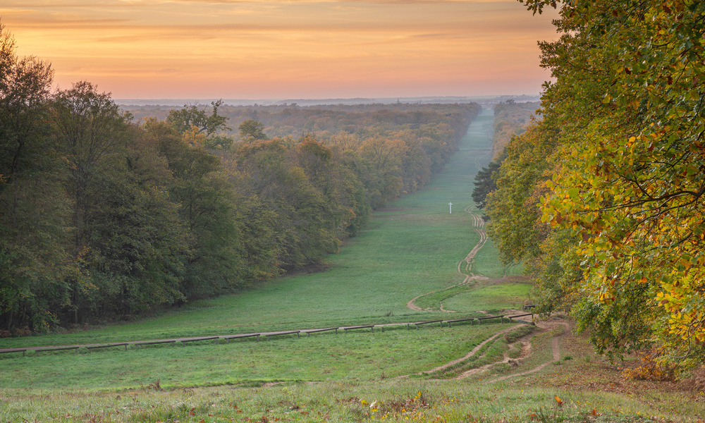 Forêt de Compiègne 