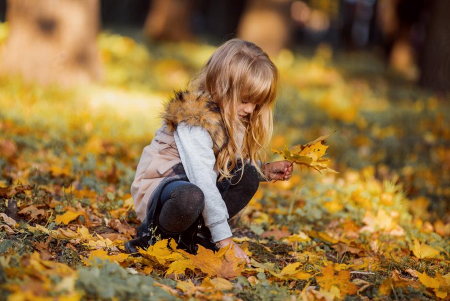 ramasser les feuilles