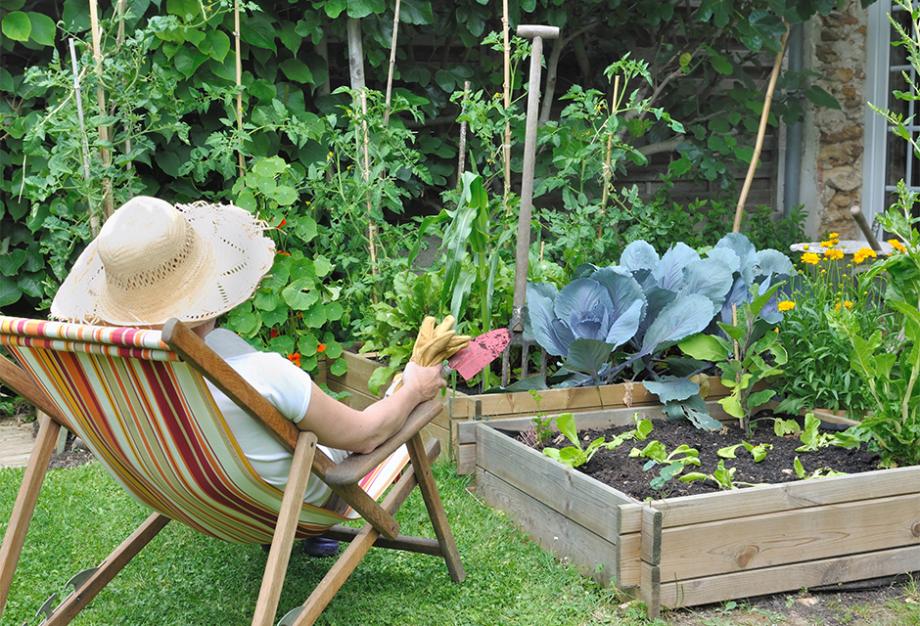 Potager en carrés