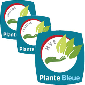 Trois niveaux de labellisation Plante bleue