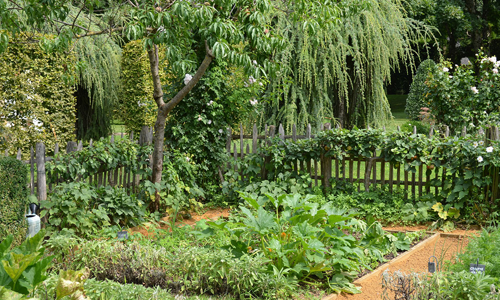 Le jardin potager