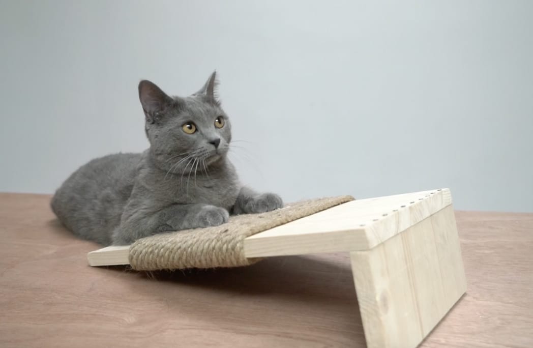 Créer un griffoir design pour son chat