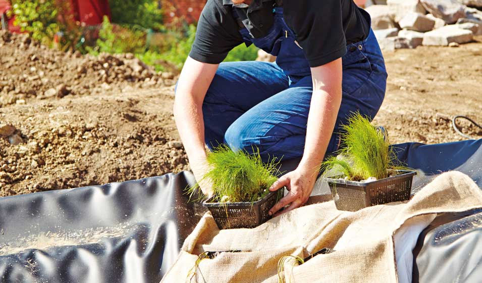 On plante 