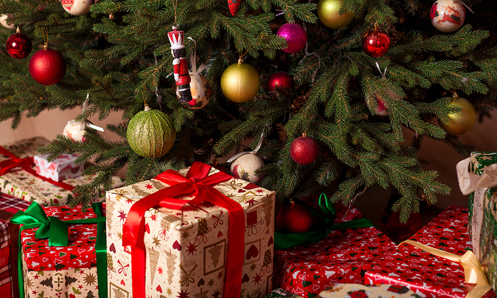 Un pied bien hydraté pour un sapin toujours frais