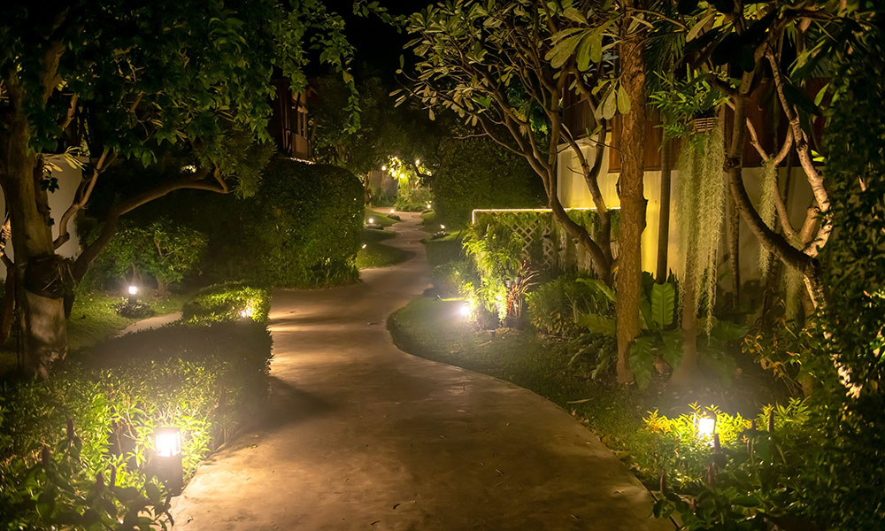 Parfait pour vos promenades nocturnes !