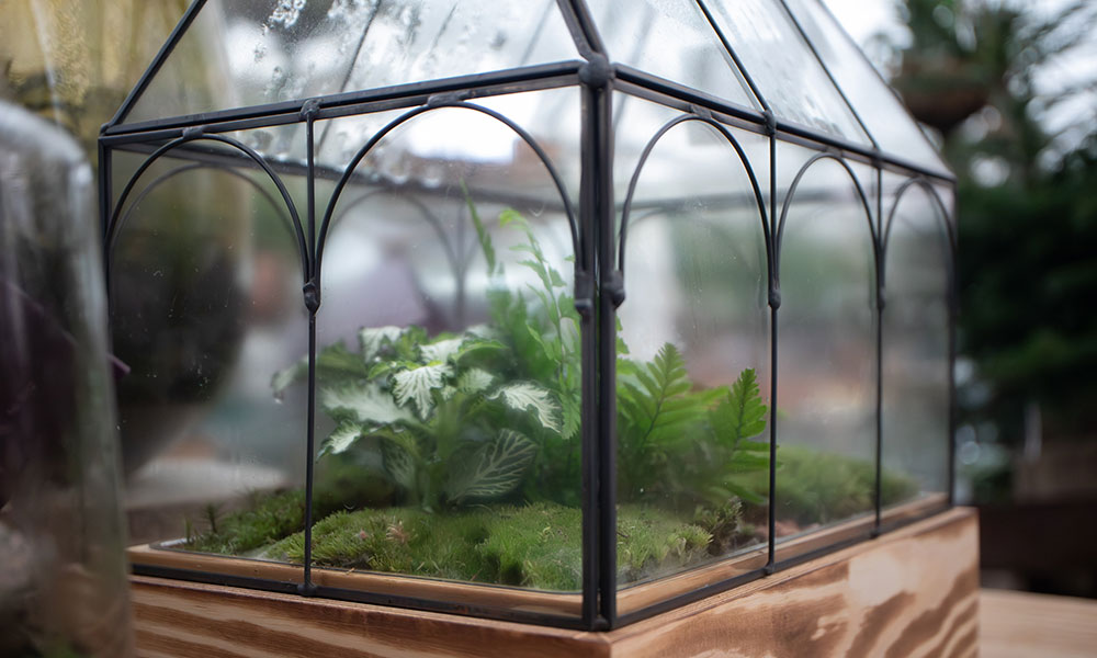 Une mini serre comme un mini terrarium