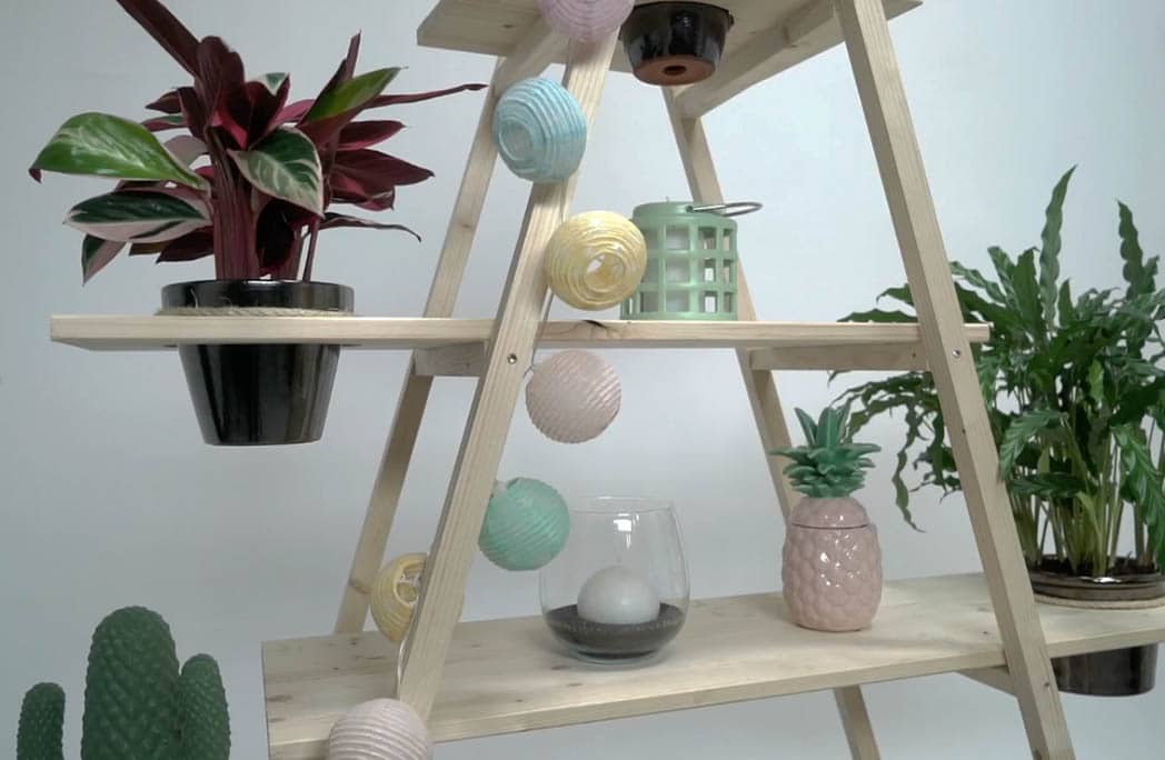 Créer des étagères pour vos plantes avec des échelles entrecroisées
