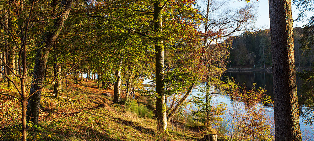 Le parc du Morvan, en Bourgogne