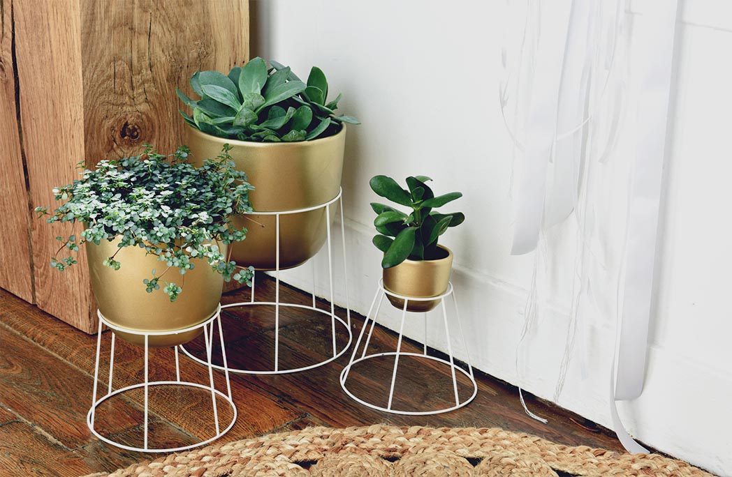 Mon porte-plante