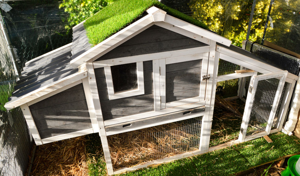Il existe des modèles de poulaillers originaux de style cottage 